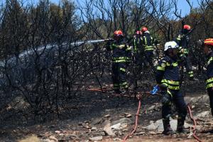 Πυροσβέστες με μάνικα στα χέρια