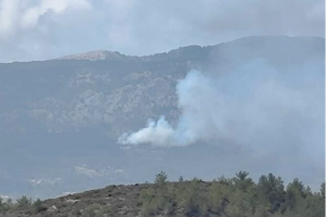ΦΩΤΙΑ ΡΟΔΟΣ