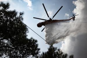 ΠΥΡΚΑΓΙΑ ΣΤΟ ΔΑΣΟΣ ΤΟΥ ΣΕΙΧ ΣΟΥ