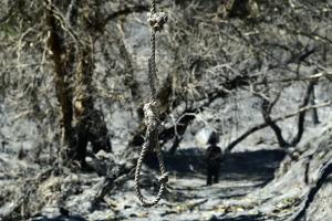 Καμένο τοπίο στη Βορειοανατολική Αθήνα