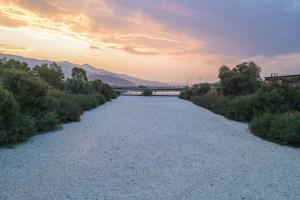 Νεκρά ψάρια στο ρέμα Ξηριά