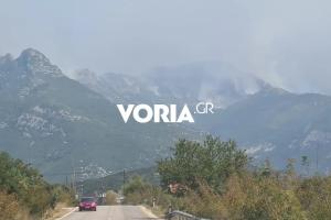 Φωτιά στο Παγγαίο όρος στην Καβάλα
