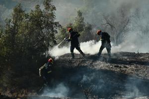 Πυροσβέστες σε κατάσβεση πυρκαγιάς