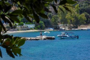 ΖΕΣΤΗ