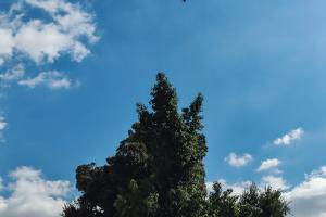 καιρός λιακάδα