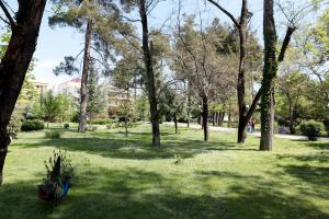 Παγώνι στο πάρκο Παυσίλυπο Καρδίτσα