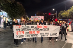 ΔΙΑΔΗΛΩΣΗ ΘΕΣΣΑΛΟΝΙΚΗ ΓΙΑ ΤΗΝ ΠΑΛΑΙΣΤΙΝΗ