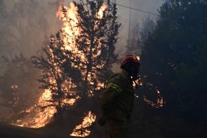 Πυροσβέστης σε κατάσβεση πυρκαγιάς