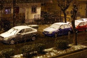 ΧΙΟΝΙ ΣΥΚΙΕΣ ΘΕΣΣΑΛΟΝΙΚΗΣ