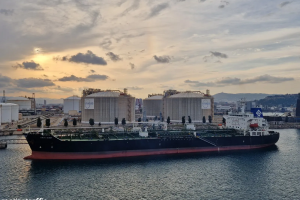 Το Kriti Ruby συμφερόντων Βαρδιονογιάννη