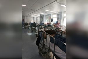 ΦΟΡΕΙΑ ΓΕΝΝΗΜΑΤΑ