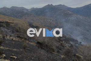 Φωτιά στην Εύβοια
