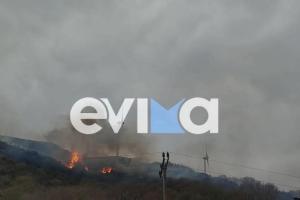 Φωτιά στην Ευβοια