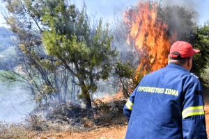 Πυροσβέστης σε κατάσβεση σε δασική έκταση