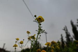 Καιρός άνοιξη συννεφιά