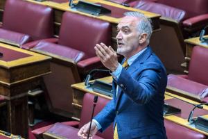Ο Σαλμάς στη Βουλή