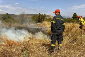 Πυρκαγιά στην περιοχή Κολοσούρτης Αργολίδας στην παλαιά εθνική οδό Άργους - Τριπόλεως, 26 Ιουνίου 2026