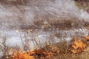 Πυρκαγιά στην περιοχή Κολοσούρτης Αργολίδας στην παλαιά εθνική οδό Άργους - Τριπόλεως, 26 Ιουνίου 2026