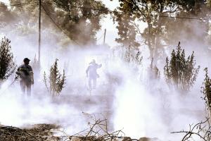 Πυρκαγιά στην περιοχή Κολοσούρτης Αργολίδας στην παλαιά εθνική οδό Άργους - Τριπόλεως, 26 Ιουνίου 2026