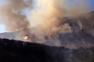 ΠΥΡΚΑΓΙΑ ΣΕ ΔΑΣΙΚΗ ΕΚΤΑΣΗ ΣΤΗΝ ΠΕΡΙΟΧΗ ΑΓΙΑ ΕΛΕΝΗ ΤΡΟΙΖΗΝΙΑΣ