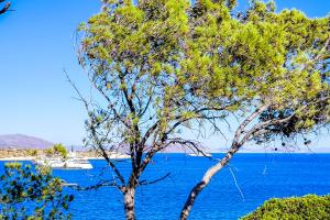 Καιρός