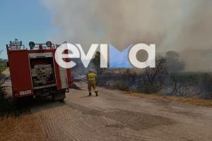 Πυροσβεστικό όχημα και πυροσβέστης στη φωτιά στη Λάτα Αλιβερίου