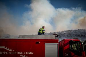 ΠΥΡΚΑΓΙΑ ΣΕ ΑΓΡΟΤΟΔΑΣΙΚΗ ΕΚΤΑΣΗ ΣΤΗΝ ΘΕΣΗ ΣΦΑΚΑ ΣΤΗΝ ΟΙΝΟΗ