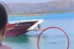 Το πλοίο με ανοιχτό καταπέλτη