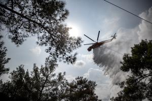 ΑΠΟΓΟΡΕΥΣΗ ΚΥΚΛΟΦΟΡΙΑΣ ΣΕ ΔΑΣΙΚΕΣ ΠΕΡΙΟΧΕΣ ΣΤΗ ΘΕΣΣΑΛΟΝΙΚΗ ΛΟΓΩ ΚΙΝΔΥΝΟΥ ΦΩΤΙΑΣ