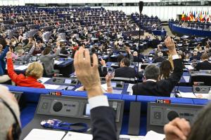 135669639-doyroy-european-parliamen.jpg