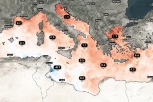 135681239-doyroy.jpg
