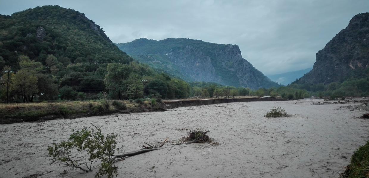 IANOS KARDITSA XEIMAROS