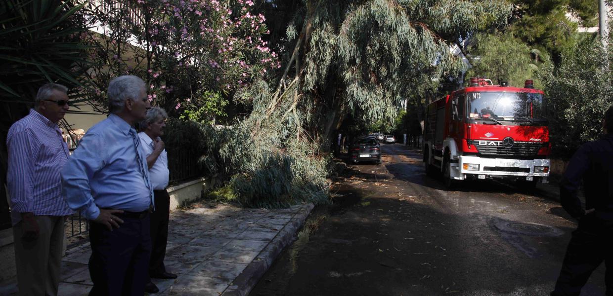 ΠΤΩΣΗ ΔΕΝΤΡΟΥ ΠΥΡΟΣΒΕΣΤΙΚΗ