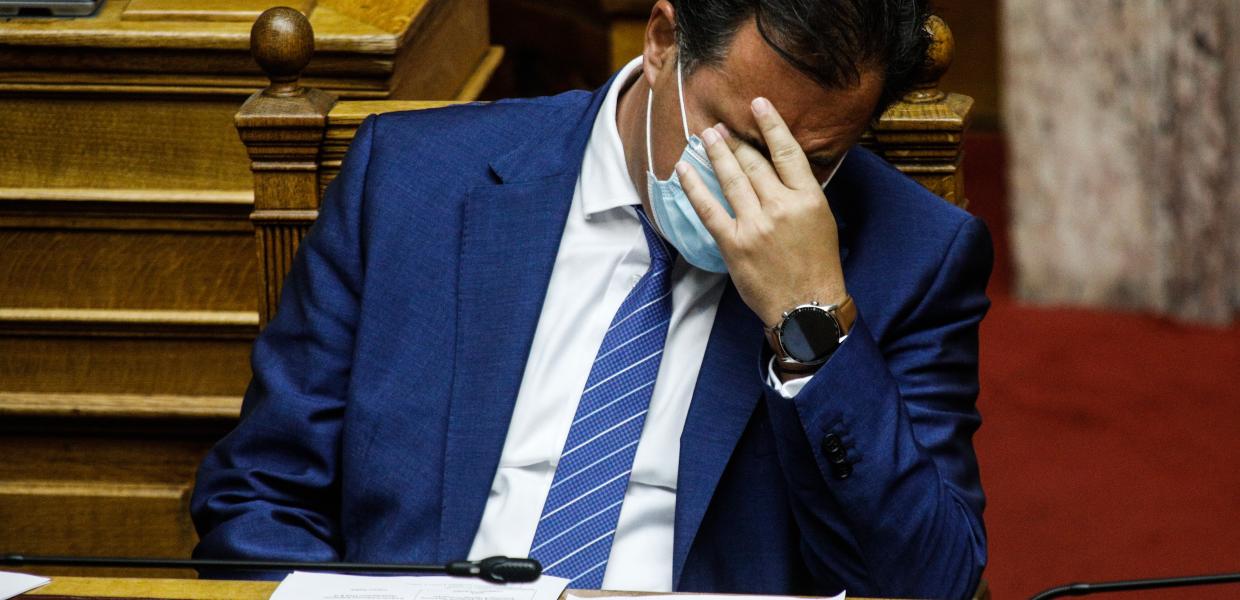 Άδωνις Γεωργιάδης Βουλή