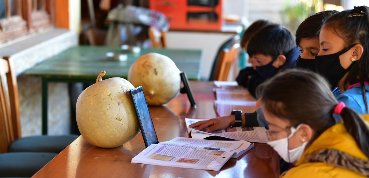 Στην Πεύκη Ηλείας μαθητές κάνουν τηλεκπαίδευση στο καφενείο που τους παρέχει ίντερνετ
