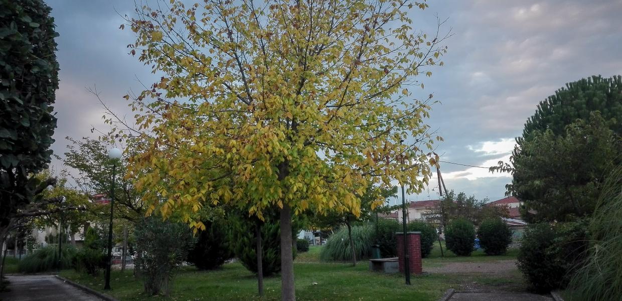 Καιρός συννεφιά φθινόπωρο