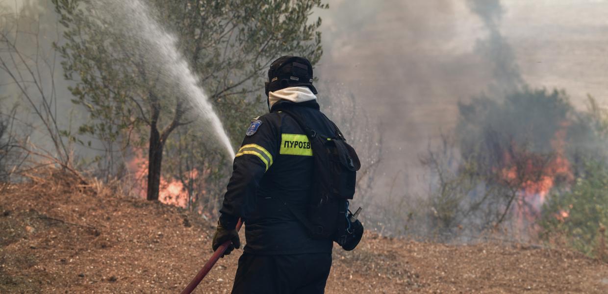 Πυροσβεστική φωτιά δάσος
