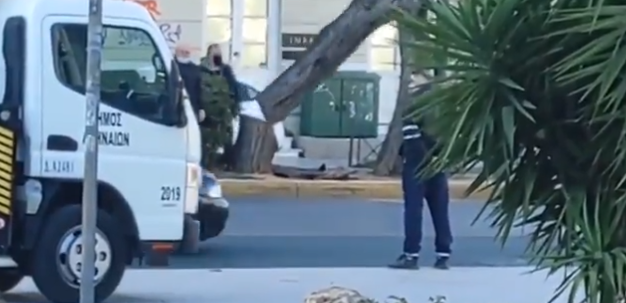 ΚΟΠΗ ΔΕΝΤΡΟΥ ΛΕΩΦΟΡΟΣ ΑΛΕΞΑΝΔΡΑΣ