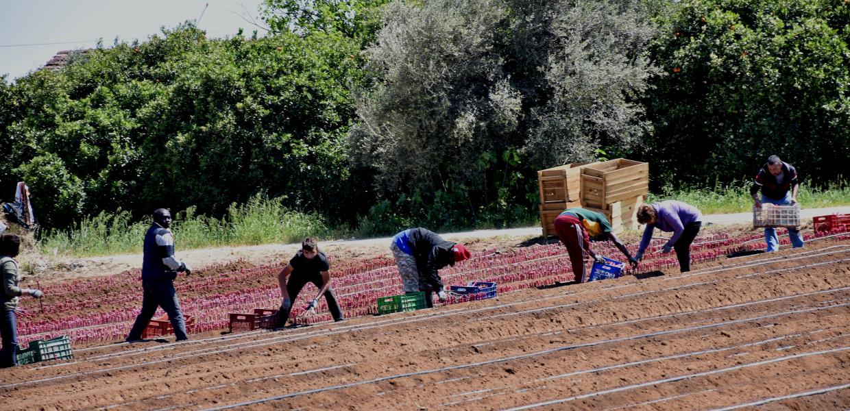 Εργασία δουλειά μετανάστες εργάτες γης