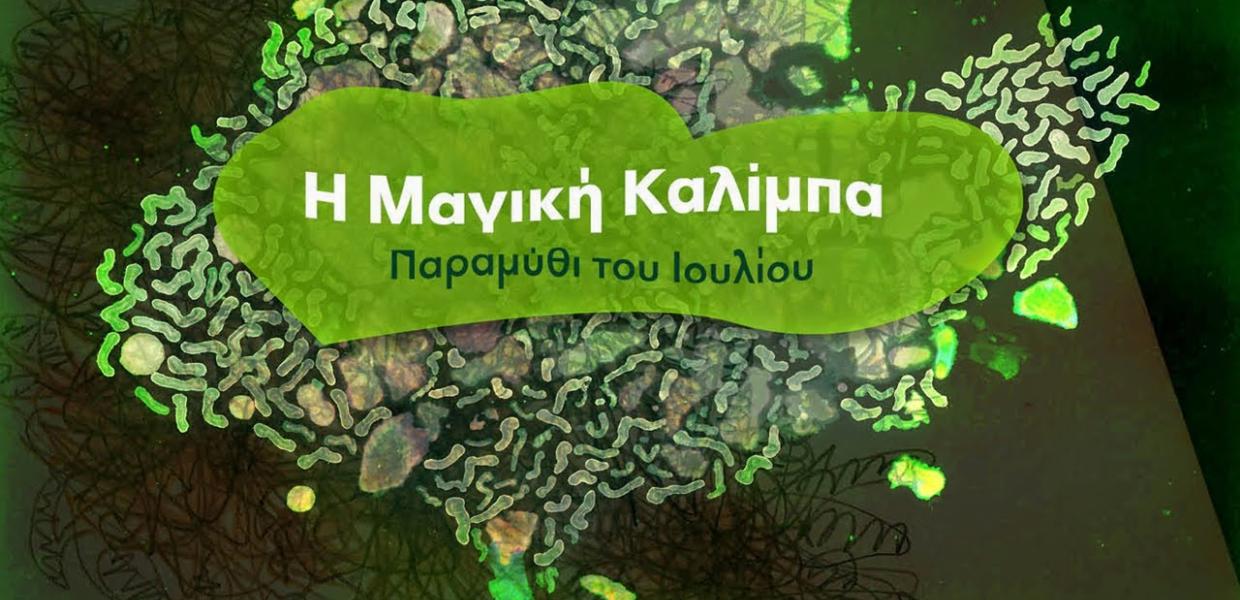 Η μαγική καλίμπα