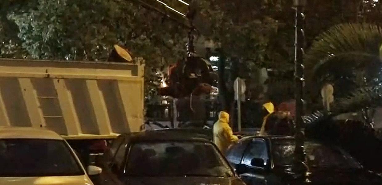 Screenshot MEGA ΠΤΩΣΗ ΔΕΝΤΡΟΥ ΝΕΑ ΣΜΥΡΝΗ