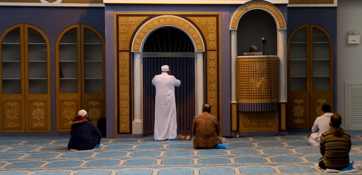 Τέμενος βοτανικός