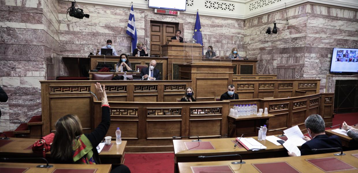 Επιτροπή βουλή 