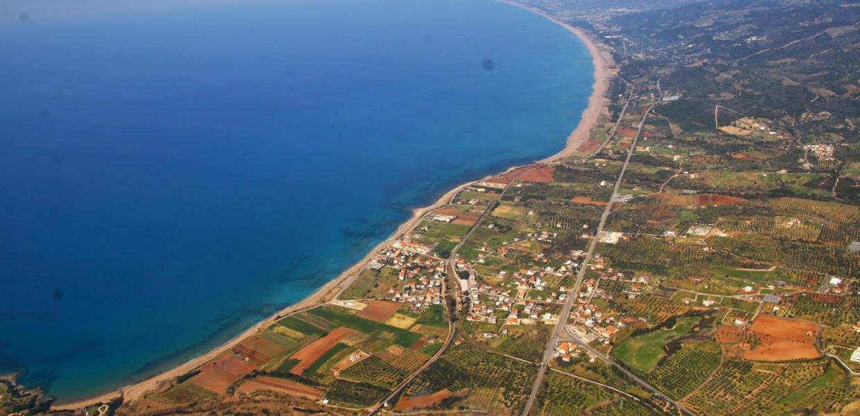 ΚΥΠΑΡΙΣΣΙΑ