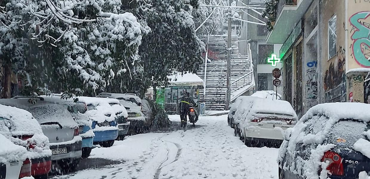 διανομέας Μήδεια