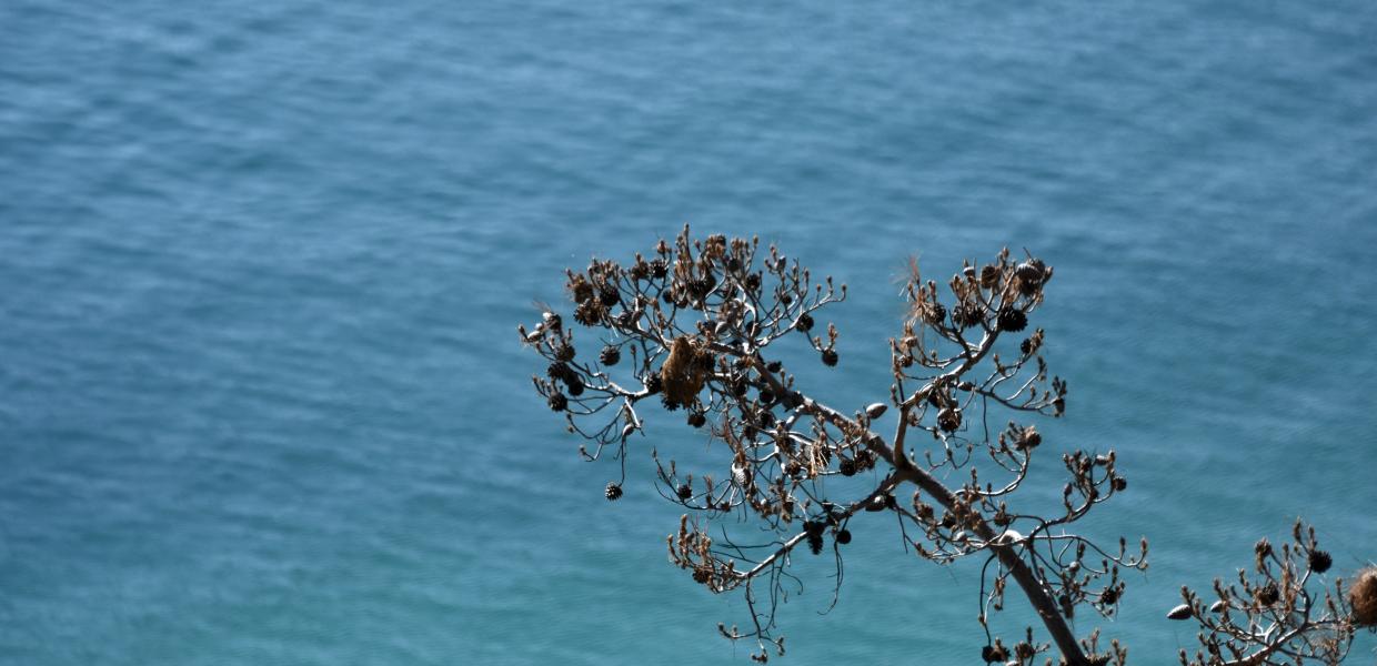 ΛΙΑΚΑΔΑ ΚΑΙΡΟΣ