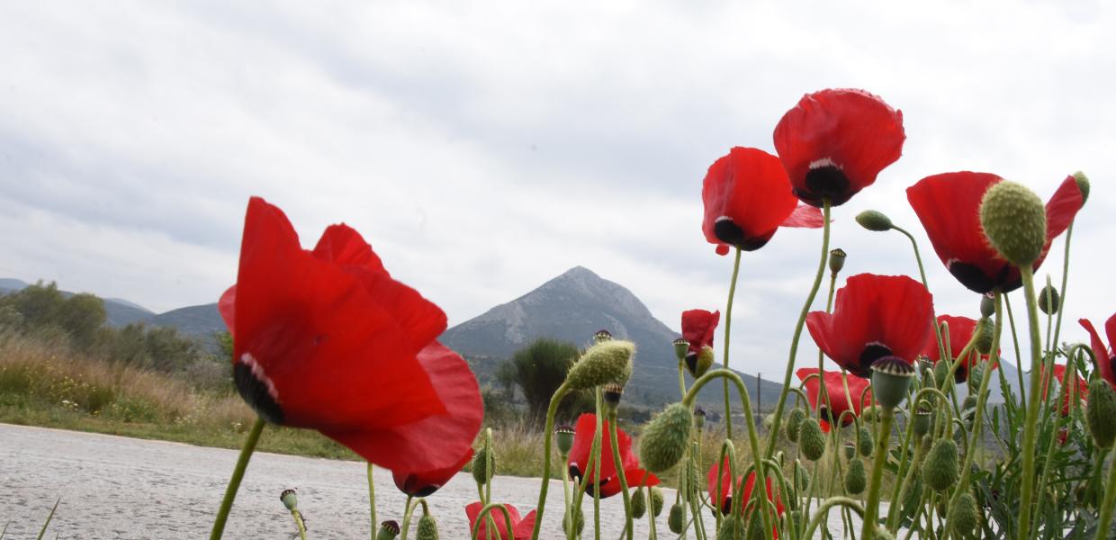 ΚΑΙΡΟΣ