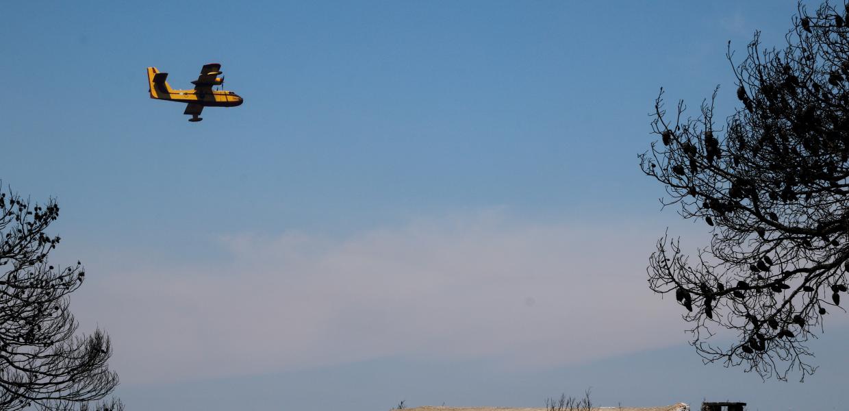 Αεροσκάφος Canadair πάνω από τα καμένα στην Κορινθία