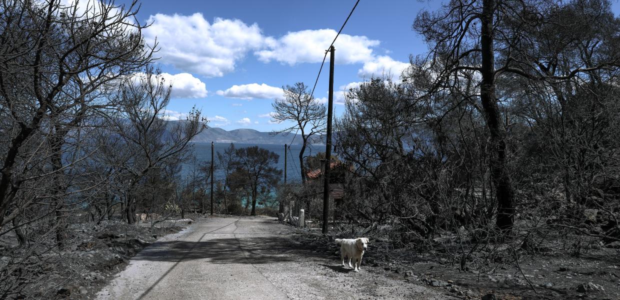 Καμένη γη στα Γεράνια Όρη
