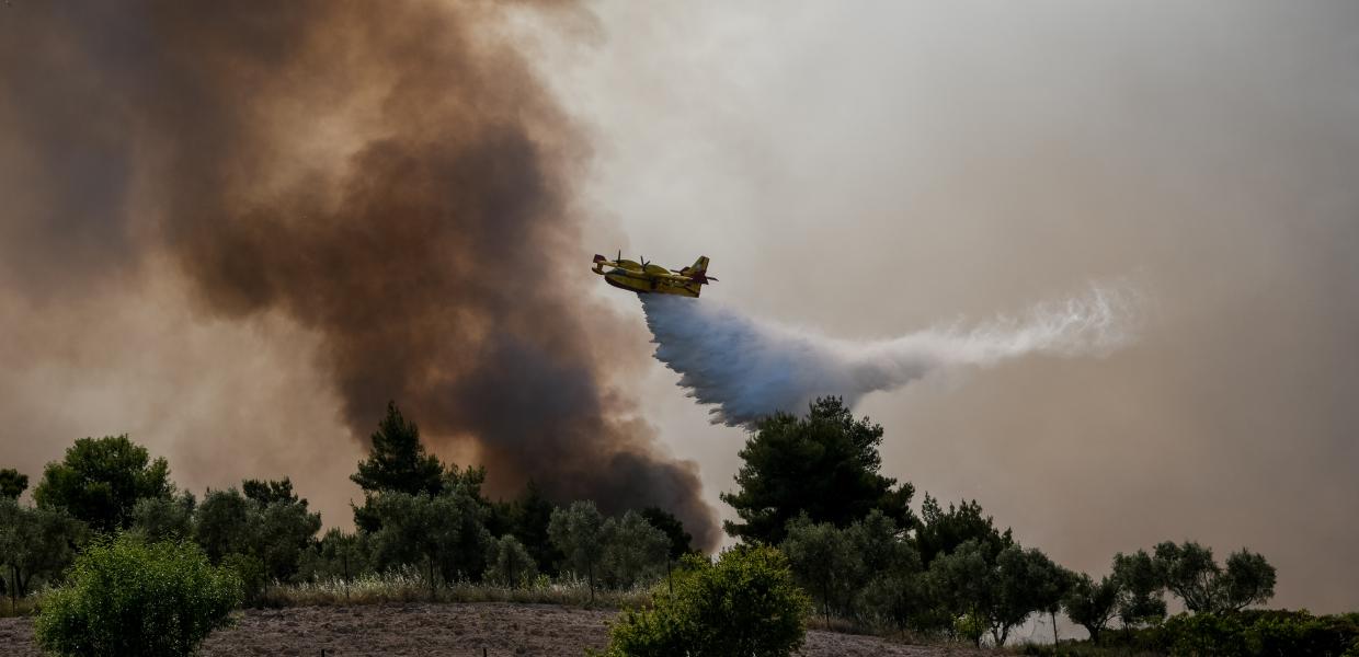 Φωτιά στον οικισμό Πευκενάς